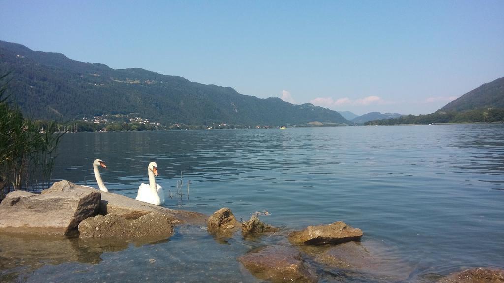 Haus Am Wald Lejlighed Steindorf am Ossiacher See Eksteriør billede